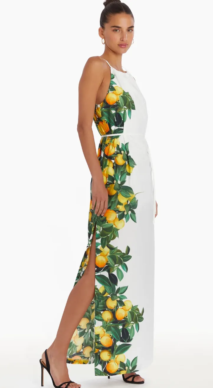 Amanda Uprichard - Alicanta Maxi Dress - Lemonhead