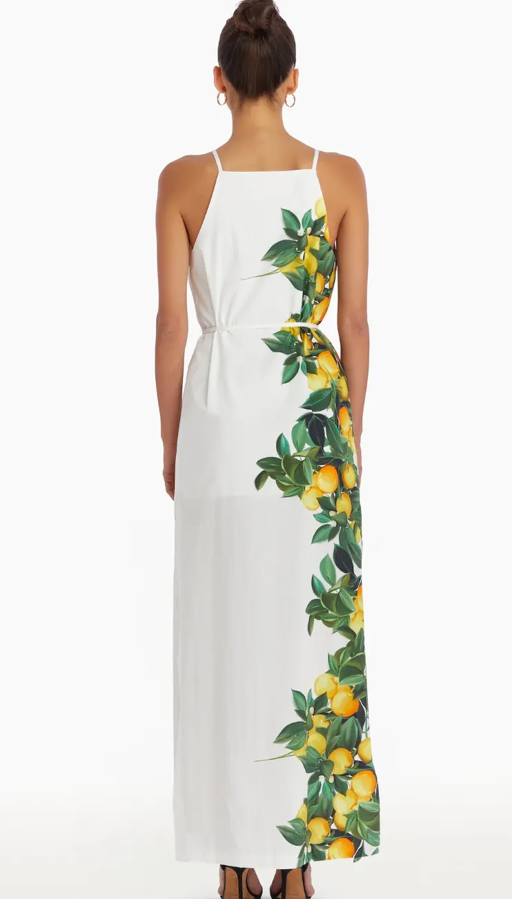 Amanda Uprichard - Alicanta Maxi Dress - Lemonhead