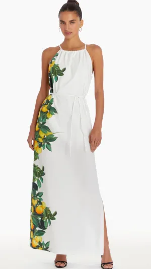 Amanda Uprichard - Alicanta Maxi Dress - Lemonhead