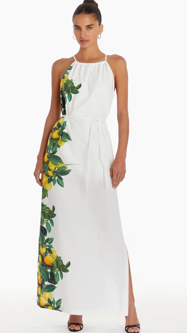 Amanda Uprichard - Alicanta Maxi Dress - Lemonhead