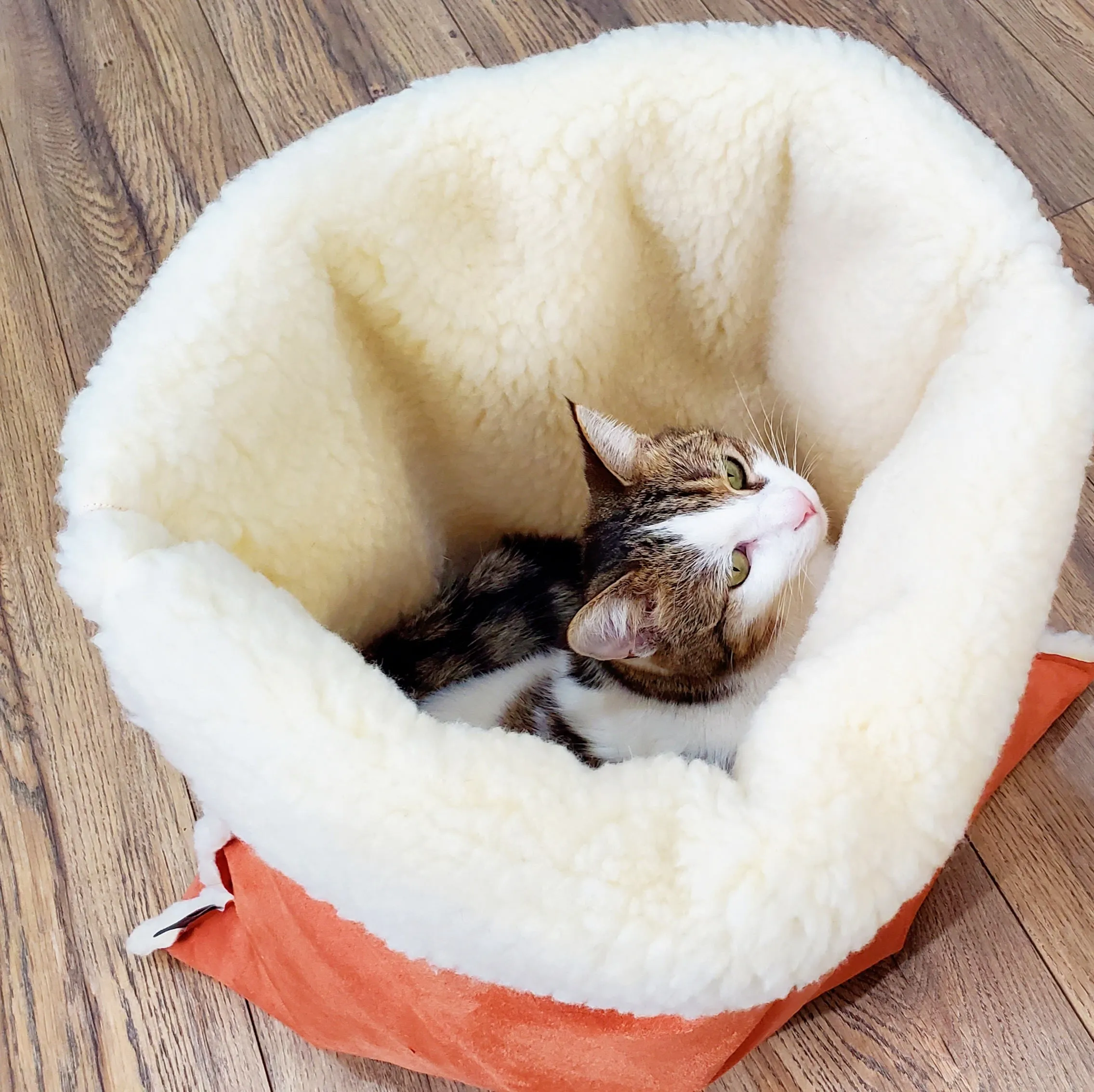 Faux Sherpa Snuggle Cat Cave: sleeping bag for pets, anxiety relief hideout den, travel cushion bed