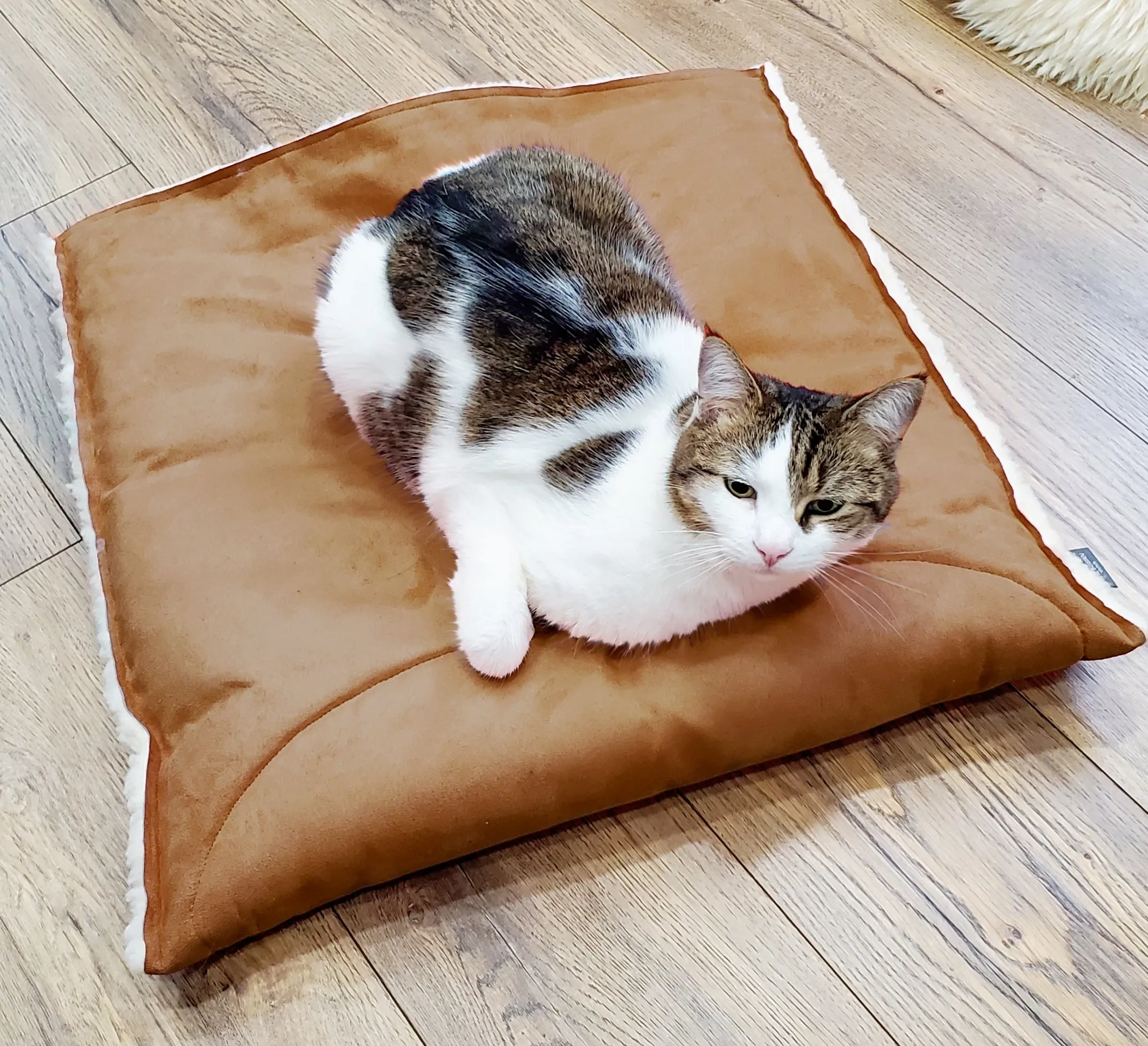 Faux Sherpa Snuggle Cat Cave: sleeping bag for pets, anxiety relief hideout den, travel cushion bed