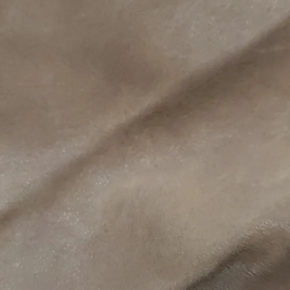 Free People Vegan Suede Pleated NWT Shorts