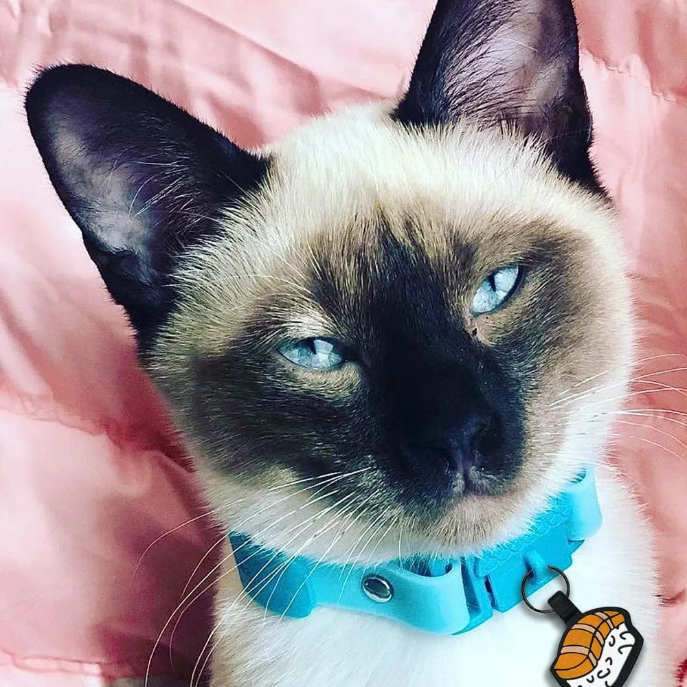 Kittyrama Bermuda Safety Breakaway Silicone Cat Collar