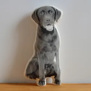 Labrador Retriever Pillow