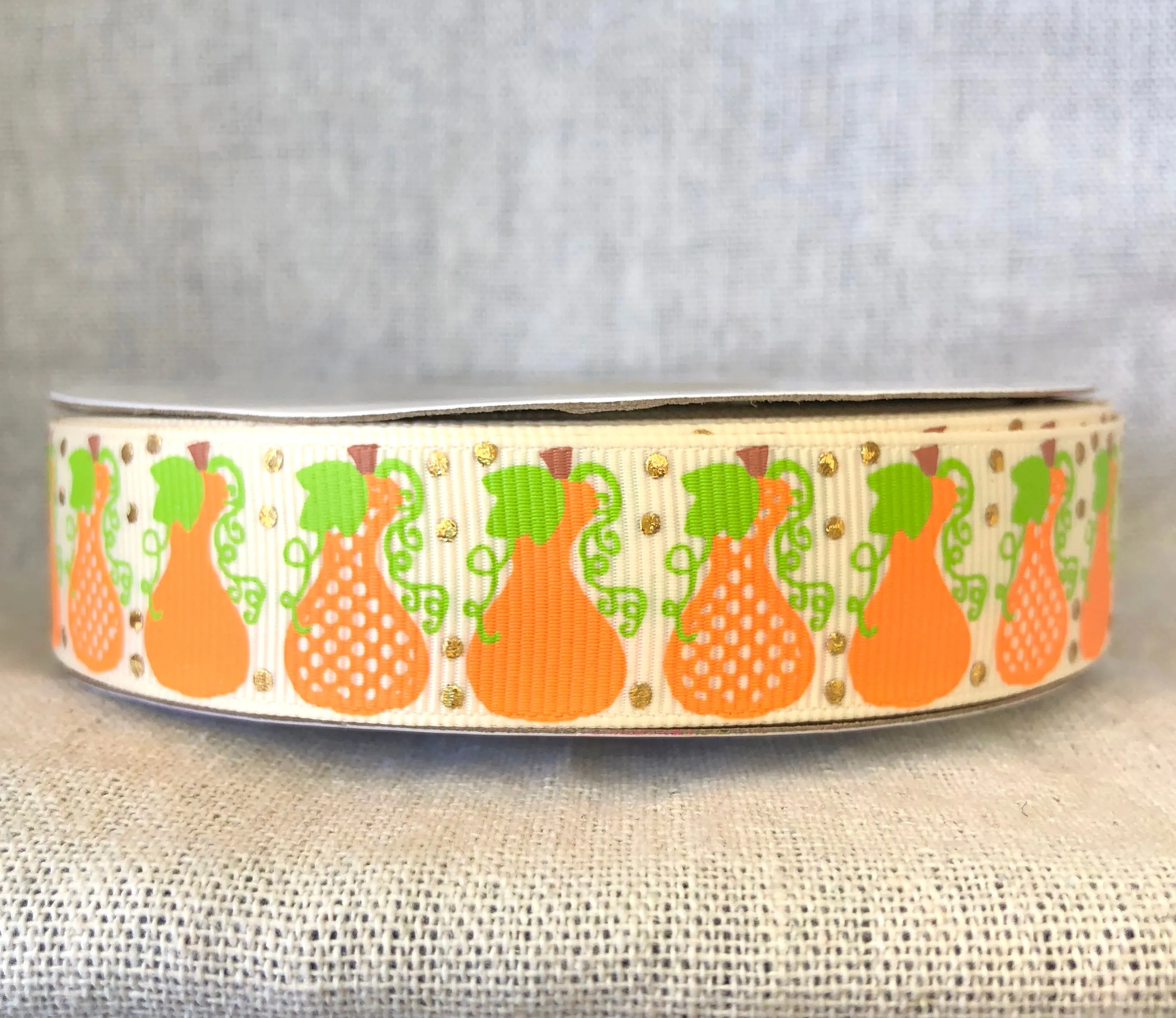 My Gourd I'm Cute Thanksgiving Gourds USDR Ribbon - 7/8 Inch