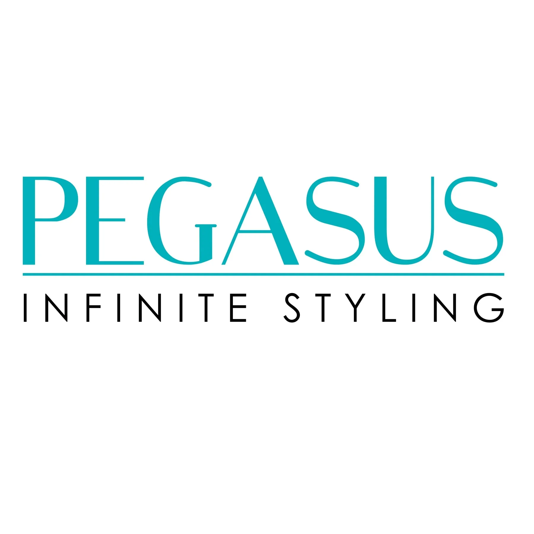 Pegasus 510, 9in Hard Rubber Large Detangling Handled Styling Rake Comb, Seamless, Smooth Edges, Anti Static, Heat and Chemically Resistant, Everyday Grooming Comb | Peines de goma dura - Black