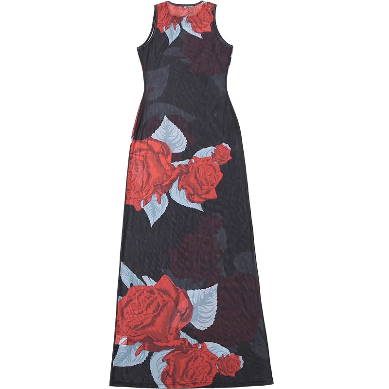 Rose Print Sheer Maxi Dress