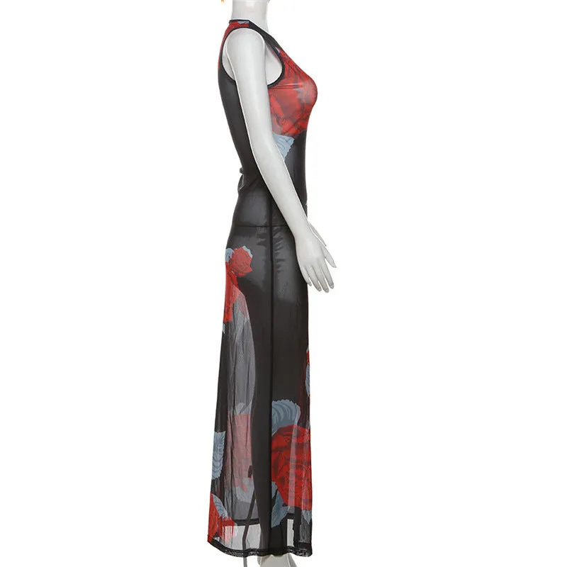 Rose Print Sheer Maxi Dress