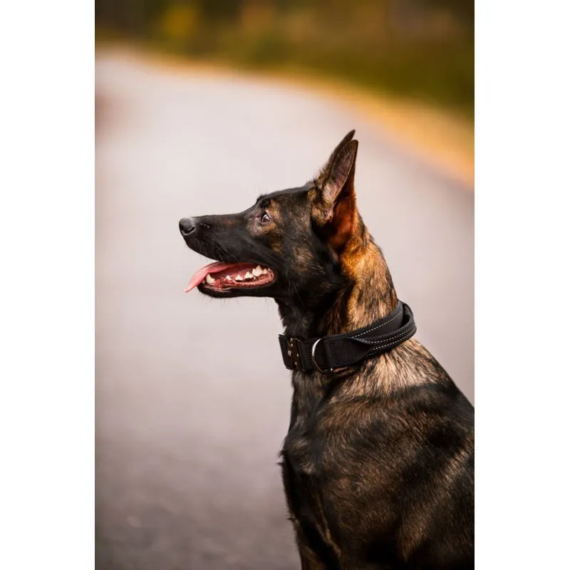 Rukka Pets Mission Handle Dog Collar