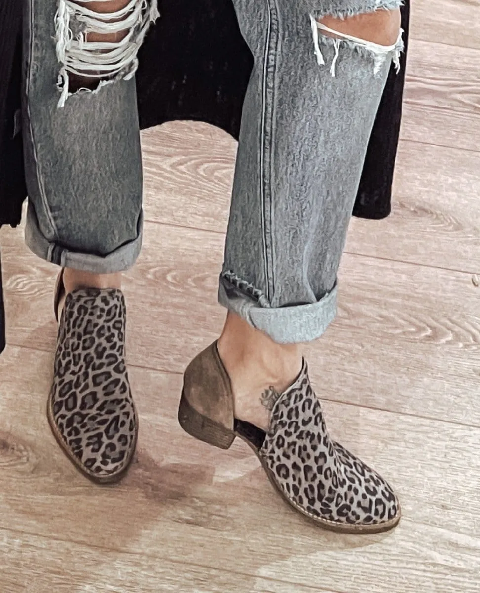 Shy Town Leopard