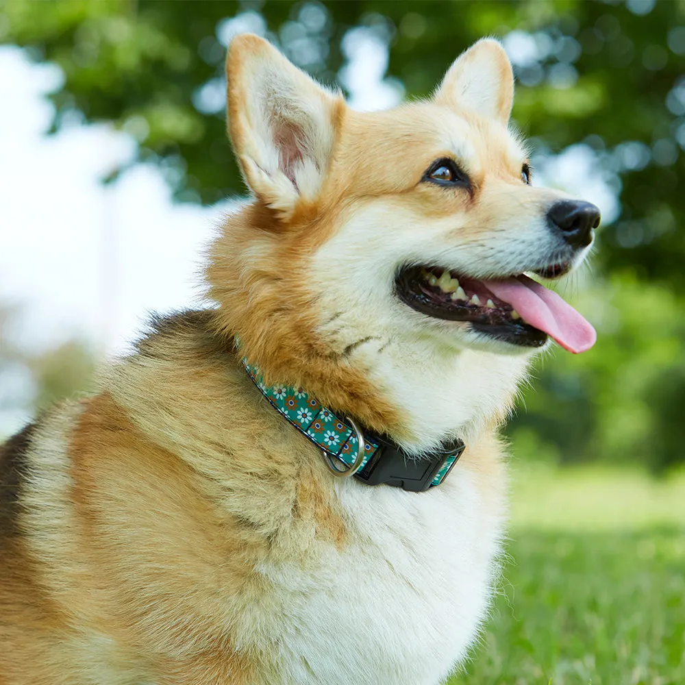 Slate River - Dog Collar