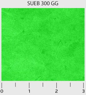 Suede Brights Lime