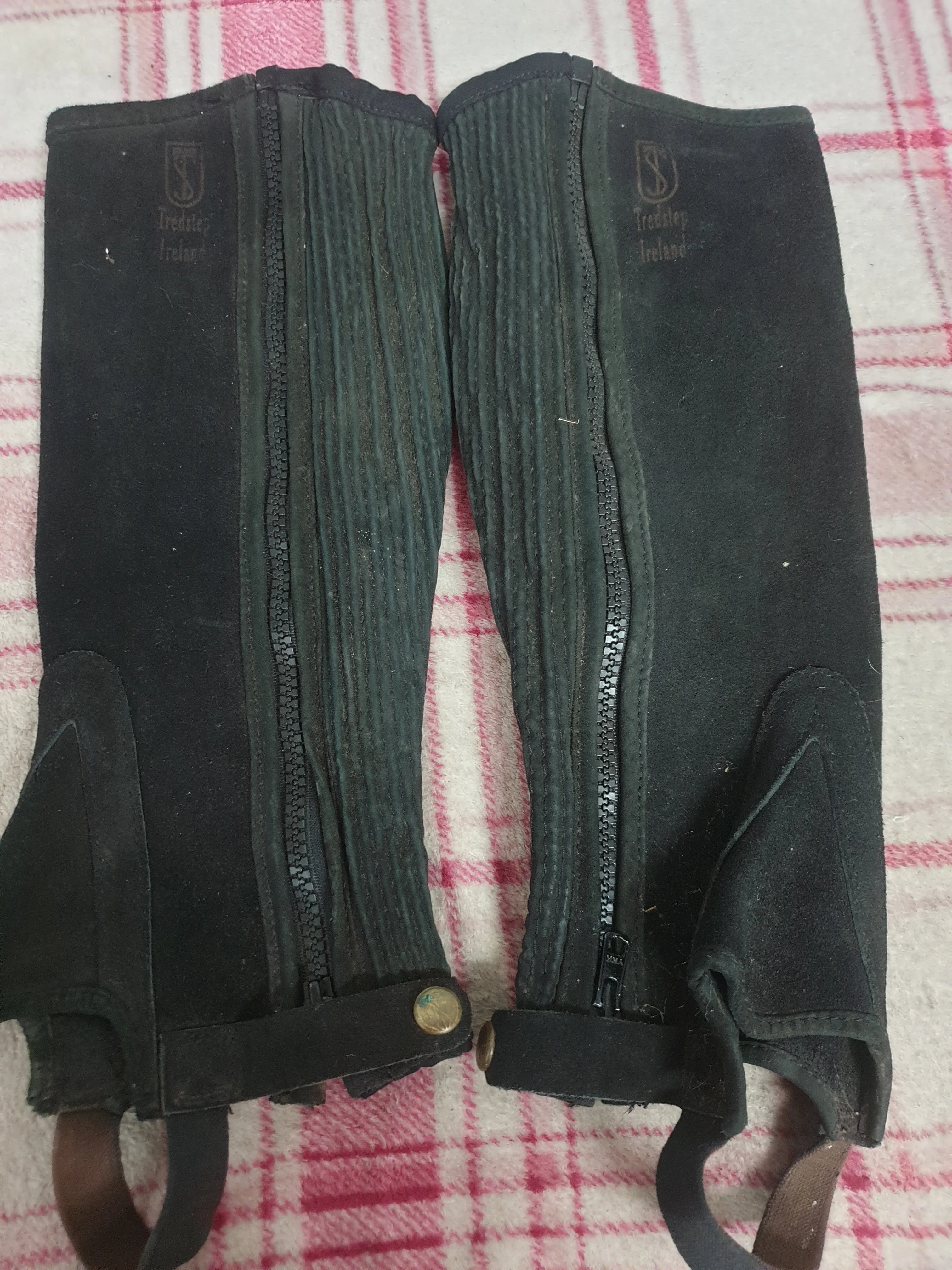 Tredstep Ireland black suede chaps 🟢