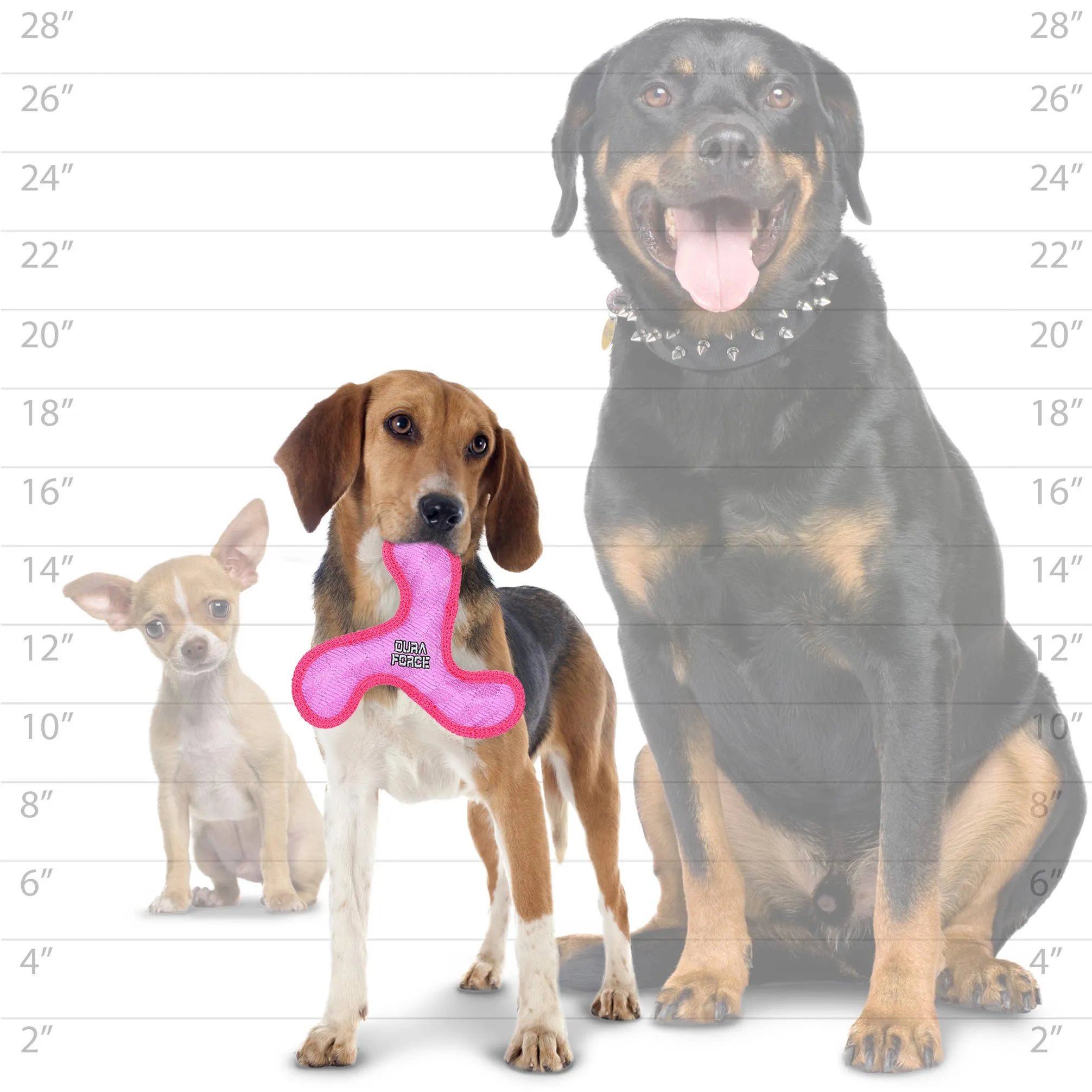 Tuffy Dog Toys - VIP Products - DuraForce Jr Boomerang - Pink, Durable, Squeaky Dog Toy
