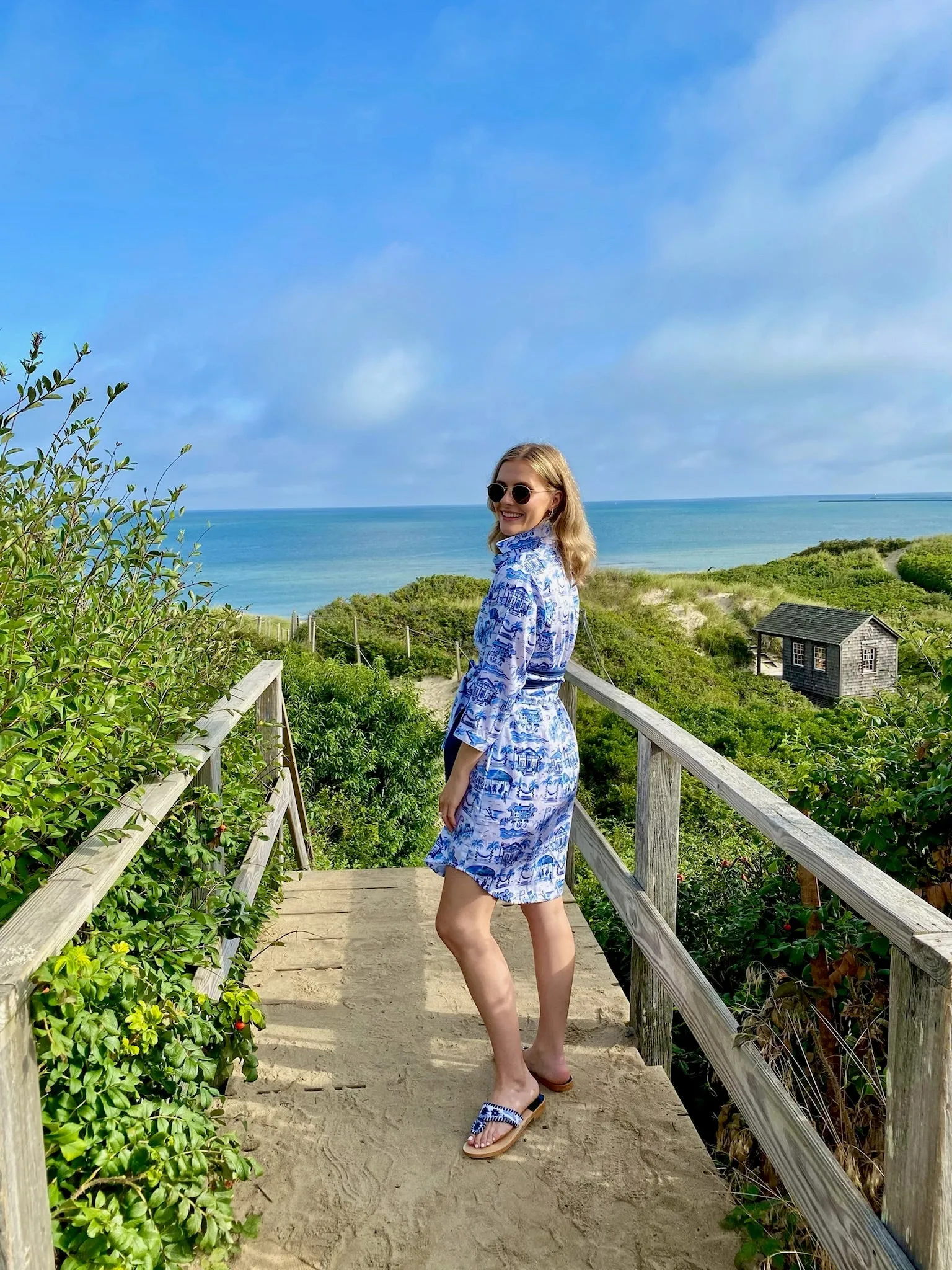 Waverly Shirt Dress in Blue and White Pawleys Toile